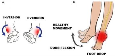 G-Exos: A wearable gait exoskeleton for walk assistance